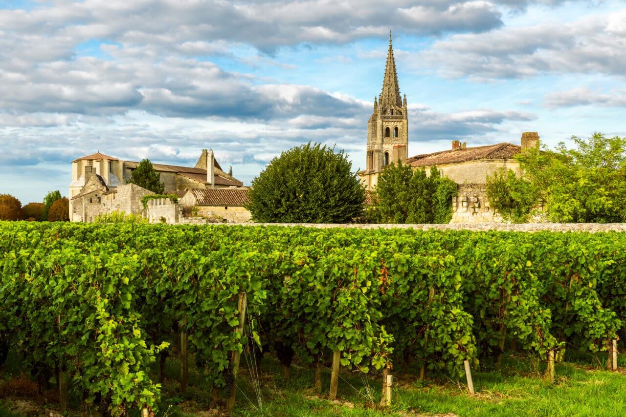 Visiter les vignobles Bordelais avec Paul