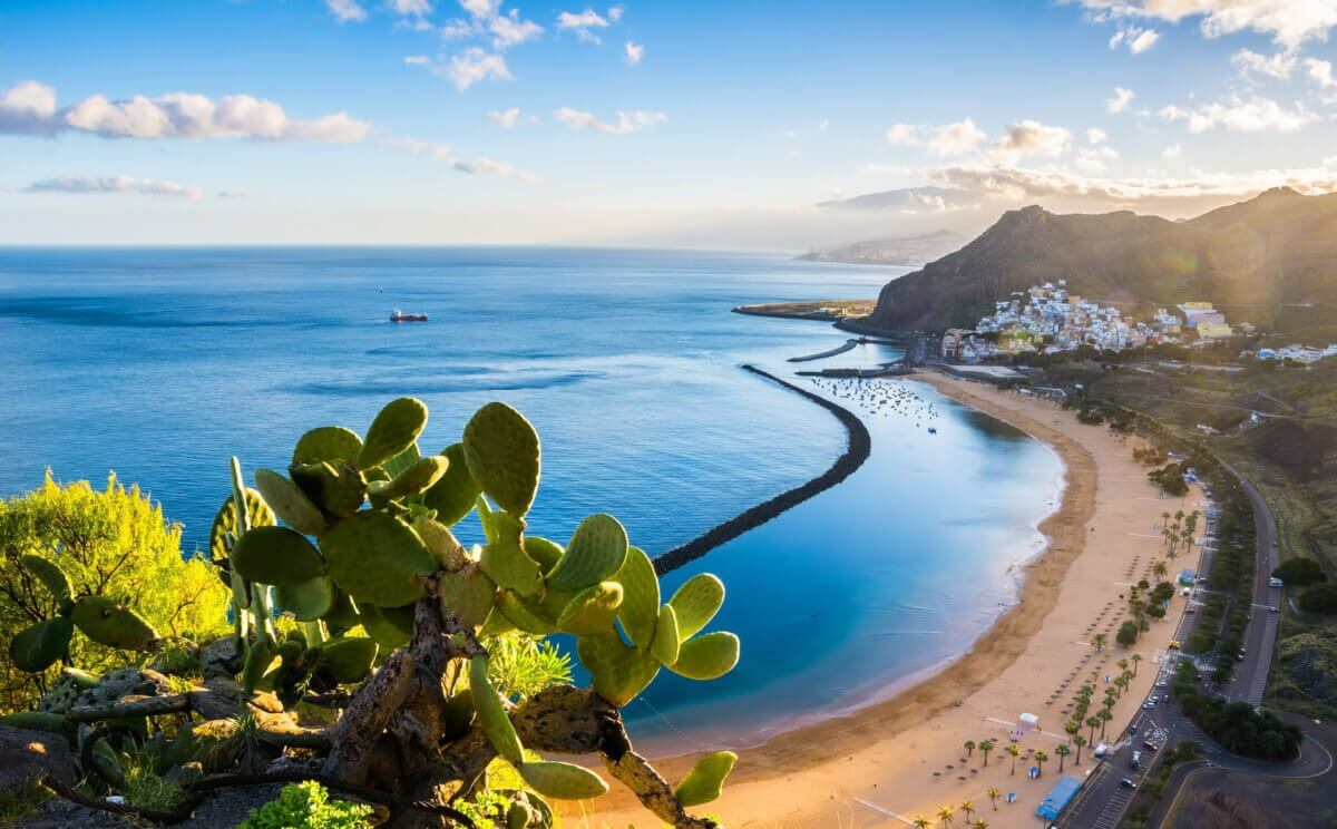 Visite guidée de Tenerife avec Danièle